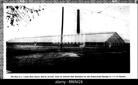 . Les fleuristes [microforme] examen. La floriculture. 106 l'examen pour fleuristes Makch 15, 1917.. L'armature de fer Bie Rose House 400 par 60 pieds, avec son entrée latérale centrale pour le passage d'ConncctinK Maisons Avenir. Veuillez noter que ces images sont extraites de la page numérisée des images qui peuvent avoir été retouchées numériquement pour plus de lisibilité - coloration et l'aspect de ces illustrations ne peut pas parfaitement ressembler à l'œuvre originale.. Chicago : les fleuristes Pub. Co Banque D'Images