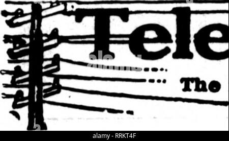 . Les fleuristes [microforme] examen. La floriculture. 1 Mahch, 1917. Les fleuristes^ 53 d'examen. Wbose Tbe cartes fleuristes apparaissent sur tb" itases oarrytnc ce chef, sont prêts à jusqu'à des ordres .- de autres fleuristes pour la livraison locale sur la base d'habitude.. Veuillez noter que ces images sont extraites de la page numérisée des images qui peuvent avoir été retouchées numériquement pour plus de lisibilité - coloration et l'aspect de ces illustrations ne peut pas parfaitement ressembler à l'œuvre originale.. Chicago : les fleuristes Pub. Co Banque D'Images