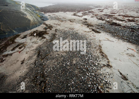 Brouillard, visible, aérosols, eau, gouttes, Suède Banque D'Images