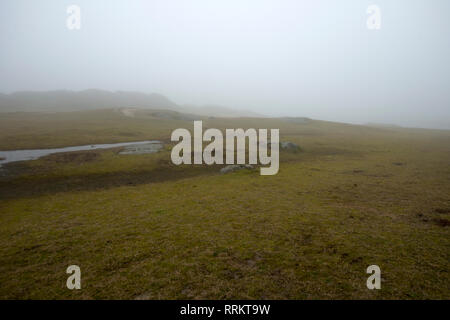 Brouillard, visible, aérosols, eau, gouttes, Suède Banque D'Images