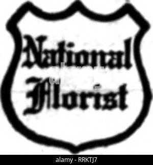. Les fleuristes [microforme] examen. La floriculture. A. T., BUSHONQ Prap. OARY. L'INDu W. et W. FLOWER STORE •• S. Mala St., WASHINGTON, PA. Les fleuristes en gros et au détail, Richmond Ind. VRED H. J'^EBION &AMP ; CO. Fleuristes et décorateurs. Envoyer comme année BEYER CO. FLORAL ind. du Sud Notre Dame de livraisons pally Universitgr et St Mary's Academy. TERRE HAUTE, l'IND. JOHN G. HBNL &AMP ; FILS, 129 South 7^CONTANY HDSS SIral 1 mauvais DAYTON2 S". MMbert Flarittt Ohio St niao" Teleinpb FLORALCQL IMnmr^ à THORNTON STREATOR,MAUVAIS Betall-FLORISl OUAHTY-S-Gros EST NOTRE HOBBY VAN METER FLEURISTE ^^rS'i H. Springfield, Banque D'Images
