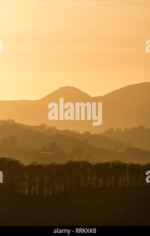 Powys, au Royaume-Uni. Soir vue sur la campagne près de Presteigne Radnorshire pacifique à la mi-pays de Galles, vers la colline conique appelé le Whimble Banque D'Images