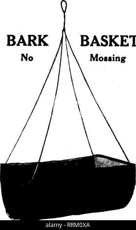 . Les fleuristes [microforme] examen. La floriculture. f. 0. B. Louisville 10-en ...douz., $1,60 12-in ...douz.. 1 H 80-en.. douz., 2,40 IC-en . ..Doz., 3,40 par 100 10-en...lOO, 10 7512-iQ...100, 13,00 14-in...l00, 17,60 16-in...l00, 24,60 Feuille Vert Mousse 2,00 $ par sac. Par colis postal, ajouter pour l'affranchissement : l8tand2d la zone 10 et 12-Ln., 14c par doz 14 et 16-Ln., 19c par douz. 3e zone 10 et 12-Ln., 24f pour douz. 14 et 16-Ln., 33c par douz. 4e zone 10 et 12-in., 43c par douz. 14 et 16-in., 62c par douz. FALLS CITY WIRE WORKS LOUISVILLE. KY. Pas d'ÉCORCE PANIER Mossing. $4.80 par douzaine 35,00 $ par 100 pas le Banque D'Images