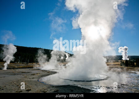WY03850-00...WYOMING - geysers éclatent sur la partie supérieure du bassin du geyser de Parc National de Yellowstone. Banque D'Images