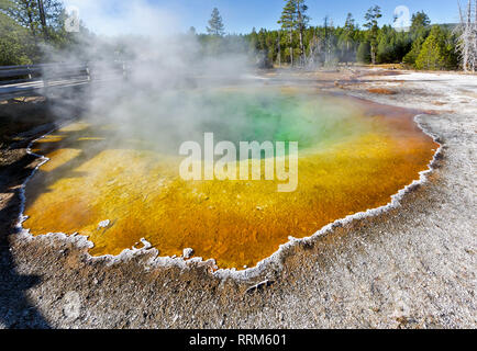 WY03853-00...WYOMING - matin gloire extérieure dans la partie supérieure de la zone du bassin de geyser de Parc National de Yellowstone. Banque D'Images