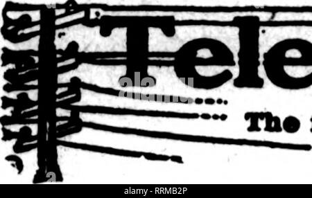 . Les fleuristes [microforme] examen. La floriculture. NOVEMBBB 16, 1916. Les fleuristes* Examen. Florlat* til* whos* eard* je ? ?"-. tronn'. Veuillez noter que ces images sont extraites de la page numérisée des images qui peuvent avoir été retouchées numériquement pour plus de lisibilité - coloration et l'aspect de ces illustrations ne peut pas parfaitement ressembler à l'œuvre originale.. Chicago : les fleuristes Pub. Co Banque D'Images