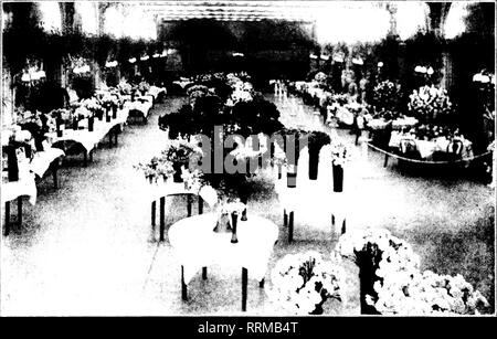 . Les fleuristes [microforme] examen. La floriculture. Febuuaui 8, 1917. Les fleuristes^ Review 15. -"^-^j une vue générale de la vingt-sixième exposition annuelle de l'American Society de l'Œillet, Indianapolis, le 31 janvier I9I7. jusqu' ccrtiliiato du mérite. C'était j;raiit ' ?'I, avec le résultat d'un score de eii'aux tw&lt;je points. Le Banqtuet. ^ qu'haii(|uet était &lt;fii'ii dans ruoni wlier^ Riley. sliow lielil' ubt est, l'ex- hihitiiiii ildwers -ont été utilisés comme docora- tidiis elahorate disjilay, faire une. Le cveninii uriiig J)Le eiitei nududed : Ludo une ondiestra eaharet et (hin"- iiit^ Banque D'Images