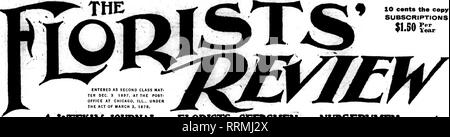 . Les fleuristes [microforme] examen. La floriculture. lO c. la copie 800 abonnements *•". Un fLORbTS JOUDNAL HEBDOMADAIRE"*. Les semenciers"" NUBSERYMEM ORISTS».FI.PUBI ISHIMO CO.. Ce Oaxton Bulldlnar 5 Soatb Desrboni SOS, St.. CHICAGO. VOL. XLIII. CHICAGO. Le 19 décembre. 1918. N° 1099. Cold Storage Giganteum COMMANDEZ MAINTENANT Embargo est toujours en vigueur, et il n'y aura pas de nouveau stock ici à temps pour Pâques. AjI bulbes inspectés avant l'expédition. Par loo par caisse de 7 à 9 pouces (300 cas d'ampoules) 7,50 $ 21,00 $ par 1000 l'espagnol Iris, nommé les variétés 1,25 11,00 $ A. HENDERSON &AMP ; CO., 211 N. Sta Banque D'Images