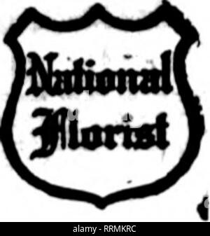 . Les fleuristes [microforme] examen. La floriculture. Tout à fait PRÊT À TOUT MOMENT Edwards Hall Floral Company 1716 Pacific Avenue. ATUNTICCITY, NEW JERSEY : pépinières et de la Caroline du Sud méditerranéen Aves. Les États les fleuristes Livraison de télégraphe Ass'n Germantown et ordres de Chestnut Hill avec taiste exécutées avec soin et rapidité. FRANK Re HASTINGS 8 West Chelten Avenue, Germantown, Philadelphie, Pennsylvanie, Ohio) Masslllon A. WEAVER] Florist au Rotary qui n'a pas abouti du tout et s'avère être un bon vendeur. Il aime Alice, White Wonder et Benora bien. La saison prochaine, il plantera Peerless Rose. Le Suterm Banque D'Images