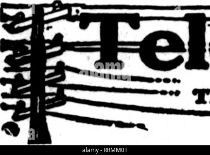 . Les fleuristes [microforme] examen. La floriculture. 60 L'examen pour fleuristes 8 Mabch, 1917.. Flortsts thm qui** cartes "vpMtf sur th" pas oanrytnc flila liMid**, mtm ?-^ ofbwr flortsts looal de pour aallvarr" tti sur tumal bast*. Veuillez noter que ces images sont extraites de la page numérisée des images qui peuvent avoir été retouchées numériquement pour plus de lisibilité - coloration et l'aspect de ces illustrations ne peut pas parfaitement ressembler à l'œuvre originale.. Chicago : les fleuristes Pub. Co Banque D'Images