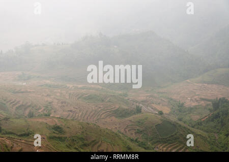 Collines en terrasses dans le brouillard, Sa Pa, Vietnam Banque D'Images