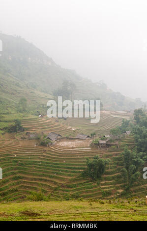 Collines en terrasses et les maisons de ferme dans le brouillard, Sa Pa, Vietnam Banque D'Images