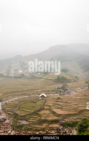 Collines en terrasses et les maisons de ferme dans le brouillard, Sa Pa, Vietnam Banque D'Images