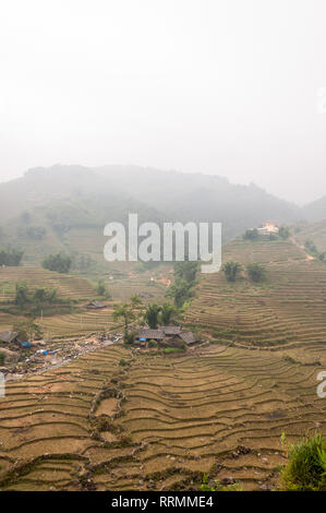 Collines en terrasses et les maisons de ferme dans le brouillard, Sa Pa, Vietnam Banque D'Images