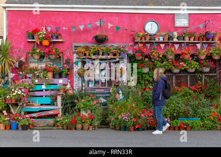 L'admirant décoration haute en couleur et les plantes ornant un lézard en extérieur de maison, Cornwall, UK Banque D'Images