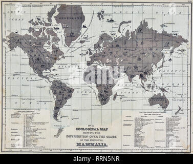 Mitchell 1868 Carte du monde zoologique : répartition sur la planète des principaux mammifères, les animaux Banque D'Images