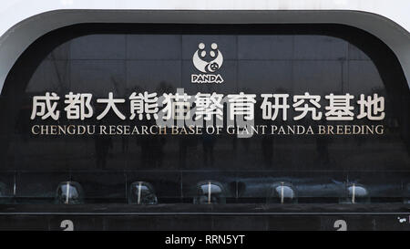 Chengdu, Chine - le 11 décembre 2018 : la recherche de Chengdu Panda Géant signe de reproduction à Chengdu Banque D'Images