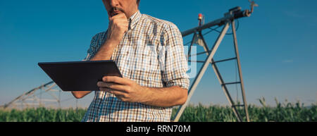 L'agriculteur concerné grave using tablet computer in cornfield avec système d'irrigation hors service pendant chaude journée d'été Banque D'Images