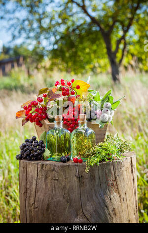 Des bouteilles transparentes de teinture, fort des herbes et des baies en plein air en bonne santé, la médecine de fines herbes. Focus sélectif. Banque D'Images