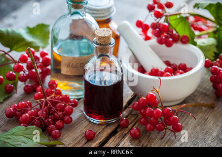 Bouteilles de Guelder rose rouge (Viburnum) teinture et le mortier de petits fruits en bonne santé, la médecine de fines herbes. Focus sélectif. Banque D'Images