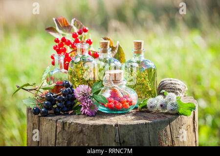 Des bouteilles transparentes de teinture, herbes et petits fruits sains sur moignon en bois en plein air, la médecine de fines herbes. Banque D'Images