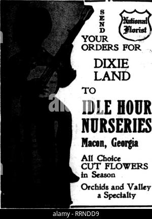 . Les fleuristes [microforme] examen. La floriculture. Très PREPARfD À TOUT MOMENT Edwards Hall Floral 1716 ATUNTICCITY Société Pacifique avenae, NEW JERSEY : pépinières et de la Caroline du Sud méditerranéen Aves. Les États les fleuristes Livraison de télégraphe Ass'n Pittsburgh, PA. FLORAL AVEUGLE CO., décorateurs fleuristes et aux producteurs la liberté Avenue et 5th Street (Empire Bldg.) grande variété et l'offre, le Service efficace et le travail terminé. Fleuriste MADDEN JERSEY CITY CRÉÉ 1899 COMMANDES DE JM fim WEST PHILADELPHIA soigneusement et rapidement exécutées avec bonne Fleurs et bon goût par M. J. CALLAHAN ^CIIAll KeShu Banque D'Images