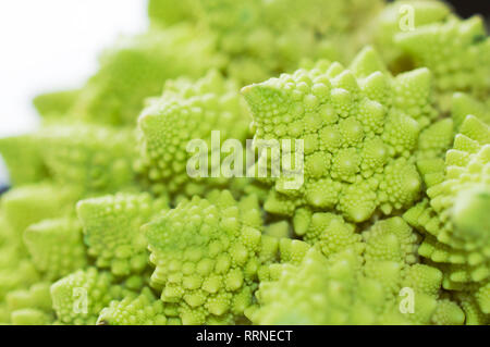 Le brocoli Romanesco close up shot avec fond blanc Banque D'Images