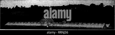 . Les fleuristes [microforme] examen. La floriculture. Gamme de A. B. Knowlton, Grafton, Massachusetts), n° consacré à la culture de qualité élevée d'oeillets. N° 13 Kroeschell chauffe toute l'usine. Retrouvez ci-joint photo montrant une vue partielle de ma gamme qui vous sont libres d'utilisation dans le cadre de n'importe quelle publicité vous semble. En ce qui concerne le no 13 Kroeschell Chaudière, nous sommes maintenant à l'utiliser pour la cinquième saison. La longue"r nous l'utiliser le mieux nous plaît. Il a pris la place des quatre chaudières fonte au cours d'une grande économie de charbon et de labo^. Peu importe le temps qu'il est en dehors de nous n'ont aucune difficulté à désert mon amour Banque D'Images