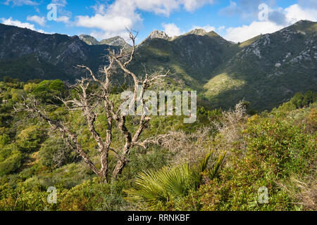 La Sierra Blanca. Stries, avec le parc national Sierra de las Nieves, Malaga. Espagne Banque D'Images