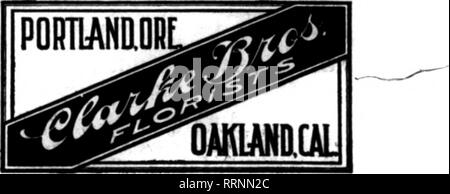 . Les fleuristes [microforme] examen. La floriculture. Nous Cany le grade le plus élevé d'CutHowers À CÔTÉ DU THÉÂTRE ET STEAMSHIP DISTftlCTS DÉCORATIONS DE MARIAGE UNE SPÉCIALITÉ SAN FRANCISCO Podesta Baldocchi &AMP ; 224-226 Avenue Qrant invite et une attention particulière à l'ordre de l'extérieur de la ville fleuristes. SAN FRANCISCO, CAL-SHIBELEY MANN CO. Remplit des commandes pour les fleuristes du monde entier. Les prix raisonnables et la commission admis. IfSUUSM 1203-1205 Sutter Street0/49ff SAN FRANCISCO. CAL 1036 CAofca Hyde Street Sal"ct"d Flowtrt livrés n'importe où dans ce voisinage, appareil à vapeur, etc. Aussi Californie Fleurs et Banque D'Images