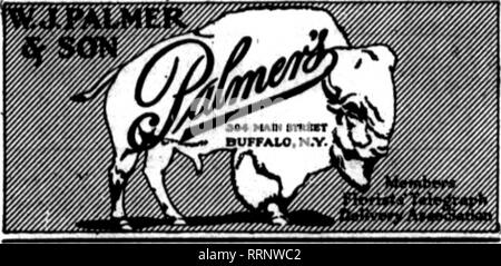 . Les fleuristes [microforme] examen. La floriculture. ERIE, PA.. Toutes les commandes rapidement et soigneusement rempli. au lieu de l'utilisation de saules et d'une attelle bas- kets. Grumes de cèdre barlt sont utilisés pour des crocus, perce-neige et la vallée de plantes. Jos. Howard Ranney, anciennement avec Chas. L., Dole de Lockport, est maintenant avec le Lenox Fleuriste. H. P. Neun, de Rochester, est croître- ment certains rhododendrons lavande fine, qui sont prêts à trouver vente ici. Jacob Wiese avait en vente la semaine dernière, un grand nombre de plantes fines, telles que primulas, Boston fougères, bégonias, hortensias et cinerarias. Mignonnette, Japonais, des gueules-de-Lys, jaune mar Banque D'Images
