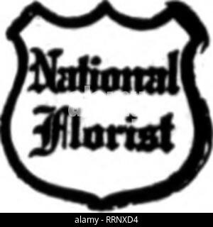 . Les fleuristes [microforme] examen. La floriculture. CUDC.BROS CO. /U&gt;RIST en UUrST.SW. WWaHIN« TONNE.OA, Washington D. C. GUDE EST Uembers Teleamph pour fleuristes NASHVILLE. TINNISSn Livraison Les membres de la joie de les fleuristes livraison Telecraoh Ass'n. Geny Bros. LKADINO les fleuristes, 812 Fifth Avenue NO NASHVILLE, Tenn.. Je "nous ne dorment jamais" wSmvsxs : Memphis, Tenn. 89 South Main Street""t 'jusqu'à la minute" et Service Ezecation chaque fleur en saison Arcade boutique de fleurs F. W. KUMMER, Prop. 309 KING ST. CHARLESTON, S. C. ?,' ?"• Charleston, W. Va. sont servi rapidement et avec soin par th" CUIUSTOII CUT n Banque D'Images