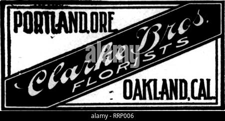 . Les fleuristes [microforme] examen. La floriculture. SEATTLE, le laver. OIUWOODCiUtDENS ?Seattle's Flower Shop Leader 1534 SECOND AVE. EKBEB FLOBISTS' ?8 TELE6BAPH1 DELITBB,Seattle Washington LW.McCOY.FIorisI Second Ave. à Marlon St. producteur, grossiste et détaillant et minutieuse attention accordée à l'invite de commandes. Alaska, Washington et Oregon. Fleuriste SPOKANE CO. (Kipp's Flower Store) Spokane, laver. Commandes remplie sans délai pour Washington. L'IDAHO. MONTANA SAN FRANCISCO Podesta Baldocchi &AMP ; 224-226, avenue Grant invite et une attention particulière à l'ordre de l'extérieur de la ville fleuristes." San Francisco, Californie Pelicano, Banque D'Images