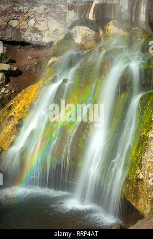 Paulina Creek Falls dans le Monument Volcanique National Newberry au sud de Bend Banque D'Images