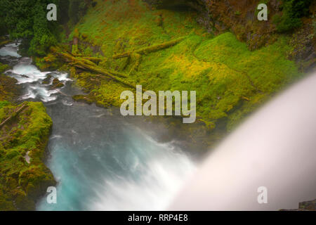 Koosah Sahalie Falls et les chutes sont situés le long du col Pass-Santiam McKenzie et de l'ouest des Cascades Scenic Byways près de l'autoroute 126. Banque D'Images