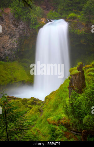 Koosah Sahalie Falls et les chutes sont situés le long du col Pass-Santiam McKenzie et de l'ouest des Cascades Scenic Byways près de l'autoroute 126. Banque D'Images