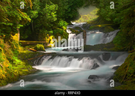 Koosah Sahalie Falls et les chutes sont situés le long du col Pass-Santiam McKenzie et de l'ouest des Cascades Scenic Byways près de l'autoroute 126. Banque D'Images