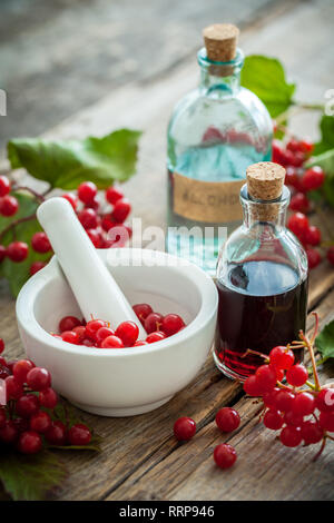 Bouteille de Guelder rose rouge (Viburnum) teinture et le mortier de petits fruits rouges, la médecine par les plantes en bonne santé. Focus sélectif. Banque D'Images