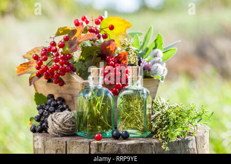 Flacons de teinture, fort des herbes et des baies en plein air en bonne santé, la médecine de fines herbes. Focus sélectif. Banque D'Images