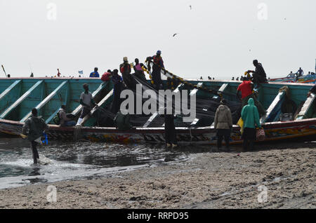 L'équipage d'une grande pirogue de rabattre les filets utilisés pour la pêche à la sardinelle et autres petites espèces pélagiques, Kayar, au Sénégal Banque D'Images