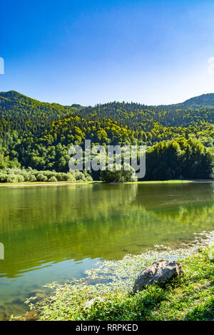 Rivière de montagne avec une épaisse forêt rivière - Lac de montagne entouré de la forêt de montagne sur des journée ensoleillée Banque D'Images