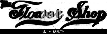 . Les fleuristes [microforme] examen. La floriculture. NOTBMBEB 6. 1914. Les fleuristes^ 41 Revue de détail des fleuristes fleuristes au détail cravate dont les cartes apparaissent oo pages contenant cette tête, sont prêts à remplir les commandes des autres fleuristes pour la livraison locale oo^asifal tl e base. Si yon^wisb d'être représenté dans cette rubrique, c'est le moment de passer votre commande. BOSTON, MASS.  ?Mm^f) "el1v"&gt;très KBOIIFIELP Association 37-43 STREET LOWELL, MASS. H0RSE&amp;BEALS,8NeiTifflickSq. Telegnpk DeGTcry Flarists* en-têtes AsMciatioH H. F. A. LANGE Worcester, Mass. Delirers de tous les points de la Nouvelle Angleterre. 125,000 Banque D'Images