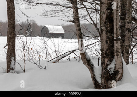 Eben Junction, Michigan - une grange dans la neige dans la péninsule supérieure du Michigan. Banque D'Images