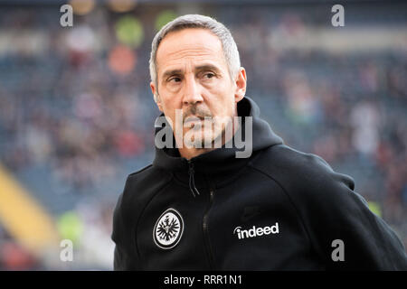 Frankfurt, Deutschland. Feb 17, 2019. Dja HUETTER (Hvºtter, coach, F), demi-longueur, se tourne vers le côté, le football 1. Bundesliga, 22. Journée, Eintracht Frankfurt (F) - Borussia Mönchengladbach (MG) 1 : 1, le 17.02.2019 à Francfort/Allemagne. ¬ | Conditions de crédit dans le monde entier : dpa/Alamy Live News Banque D'Images