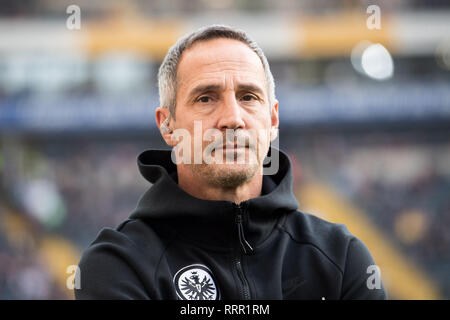 Frankfurt, Deutschland. Feb 17, 2019. Dja HUETTER (Hvºtter, coach, F), demi-longueur, football 1. Bundesliga, 22. Journée, Eintracht Frankfurt (F) - Borussia Mönchengladbach (MG) 1 : 1, le 17.02.2019 à Francfort/Allemagne. ¬ | Conditions de crédit dans le monde entier : dpa/Alamy Live News Banque D'Images