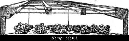 . Les fleuristes [microforme] examen. La floriculture. Deux couches de verre au lieu d'un début Les plantes font le profit- mesure jardin que vous ne pouvez pas être prêt pour le début des légumes ou des prix à des parterres de fleurs, à moins que vous utilisez sex-lits et des cadres pour le démarrage à froid et ex- pediting entre eux. C'est maintenant le temps du soleil Double vitrage châssis rendre le plus précoce et le plus important les plantes au moins coût du travail et de l'argent. Ils sont complets sans mats ou de volets. Comme g^ j ils ne sont jamais couverts végétaux l'UET notre catalogue obtenir tous la lumière et la chaleur que ce livre ouvre la voie à de plus gros le soleil offre une Banque D'Images