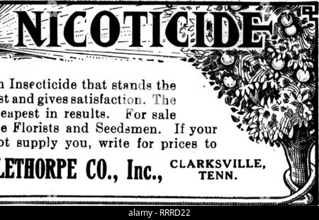 . Les fleuristes [microforme] examen. La floriculture. PITTSBURGH. Le marché. Une semaine de temps doux et lumineux a augmenté les coupes de fleurs con- siderably et relâché sur les prix, tout sauf des œillets, qui sont encore plus élevés pour l'operculage de l'hiver. L'abondance de tout va bien- être le rapport à partir de maintenant. Les producteurs locaux ont permis à val- ley à être court au cours de la dernière semaine, alors que l'offre sera d'accord à partir de maintenant. Les roses sont belles et sont Get- ting plus nombreux chaque jour. Beau- liens sont encore rares, mais les prix ont baissé, de même que quelques beautés pourrait n Banque D'Images