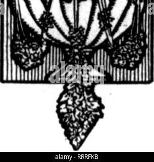 . Les fleuristes [microforme] examen. La floriculture. HANGING OUT m M[ TOUS LES LAVEZ-WHlimn Scott, le fleuriste-philosophe, l'habitude de dire, ''laver tout ce que vous avez, et hang tous les laver." Le , sur la ligne est ce que bon nombre des voisins de la famille juge votre hy. Votre public particulier vous taille de la même manière. Avez-vous pris la peine de leur montrer que vous avez les marchandises f. Veuillez noter que ces images sont extraites de la page numérisée des images qui peuvent avoir été retouchées numériquement pour plus de lisibilité - coloration et l'aspect de ces illustrations ne peut pas parfaitement ressembler à l'œuvre originale.. Chicago : Banque D'Images