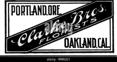 . Les fleuristes [microforme] examen. La floriculture. Nous Cany le grade le plus élevé de fleurs à côté du théâtre et STEAMSHIP DISTRICTS DÉCOR DE MARIAGE UNE SPÉCIALITÉ SAN FRANCISCO Podesta Baldocchi &AMP ; 224 avenue Qrant invite et une attention particulière à l'ordre de l'extérieur de la ville fleuristes. SAN FRANCISCO, CAL-SHIBELEY BIANN CO. Remplit des commandes pour les fleuristes du monde entier. Raisonnable Ibices et commission admis. 1203-1205 SAN FHANOSCO tfnuuauansfo Sutter Street, CAL 1036 flowtn » Hyde Street livrés n'importe où dans ce voisinage saillnga, défroisseur. etc. Aussi Californie Fleurs et Oreena expédiés suc Banque D'Images