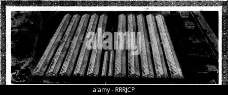 . Les fleuristes [microforme] examen. La floriculture. Elle* - ?*' /" ? -/^•' ?.  ? ? &Gt ;'' .^^^ ? r' r'-- ^ •&Lt ; .-.'"^^^.'' ? ?*"^s"jv''r*-'* *-••• Dbcsmbsr, -, H, 1914. Les fleuristes^ 105 Examen. Cette illustration de la plante, comme ce sera le cas lorsque complété, est fabriqué à partir d'un dessin en couleur de l'eau. Une voie appartenant à la Davis Co. pour"8°jusqu'au centre de la disposition et se connecte à une extrémité avec la Compagnie des chemins de fer et de l'autre avec le chariot. D'autres faits intéressants au sujet de la nouvelle usine de Davis à Terre Haute. Il y a peu de temps. Quand j'ai eu une conversation avec M. Davis, à Davis Gardens, bis nouvelle usine à Ter Banque D'Images